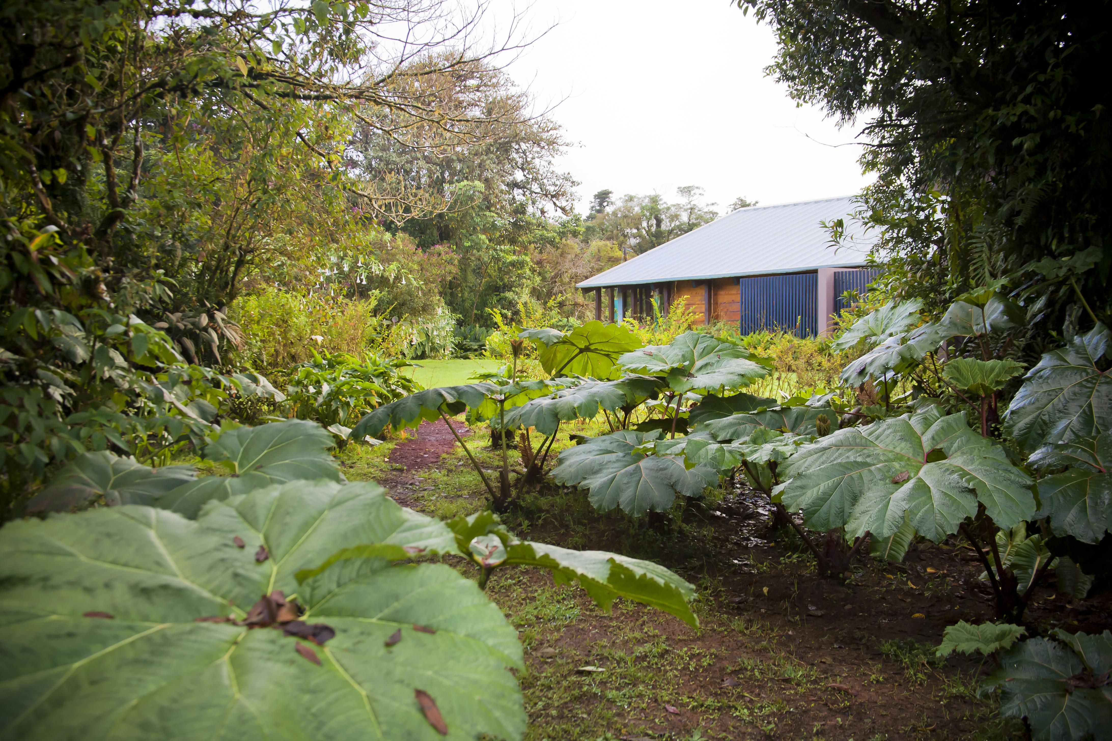 Poas Volcano Lodge Vara Blanca  Exterior photo